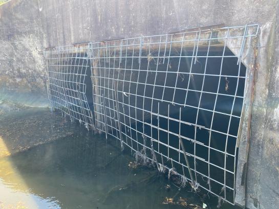 Clean storm drain