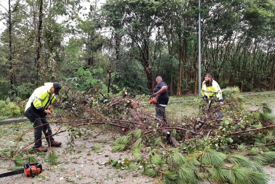 Houston Airports employees clear debris from Bush Airport after Hurricane Beryl