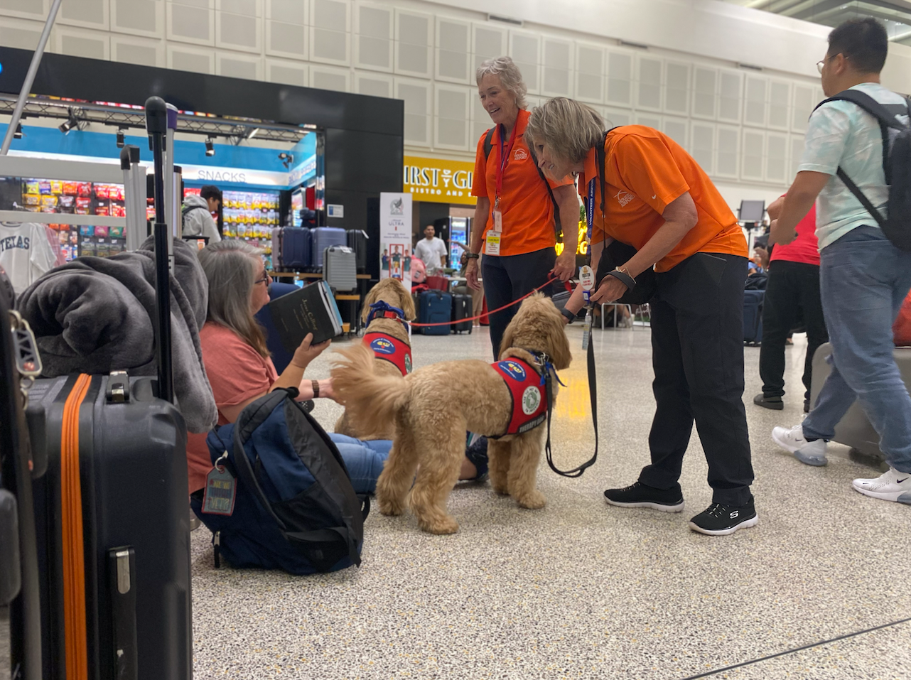Therapy dogs at IAH