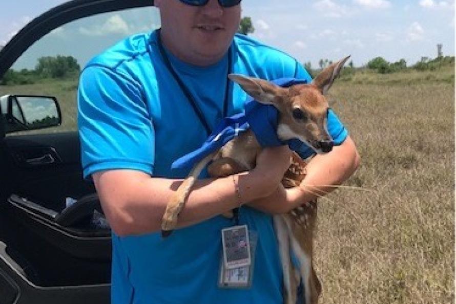A former USDA wildlife biologist with a deer at IAH 
