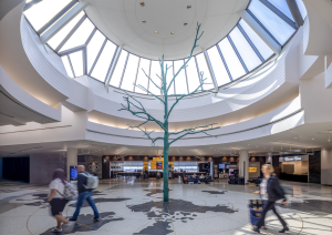 Bush Airport holiday travel