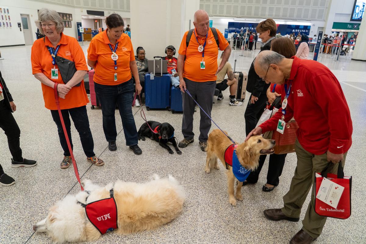 Volunteer Ambassadors