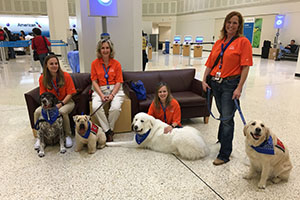 Therapy Dog Program Offers Travelers A Bit Of Furry, Four-legged Stress ...