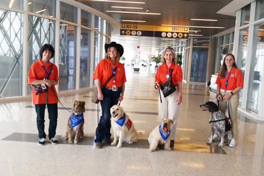 Houston Airports Therapy Dog Program Celebrates First Anniversary