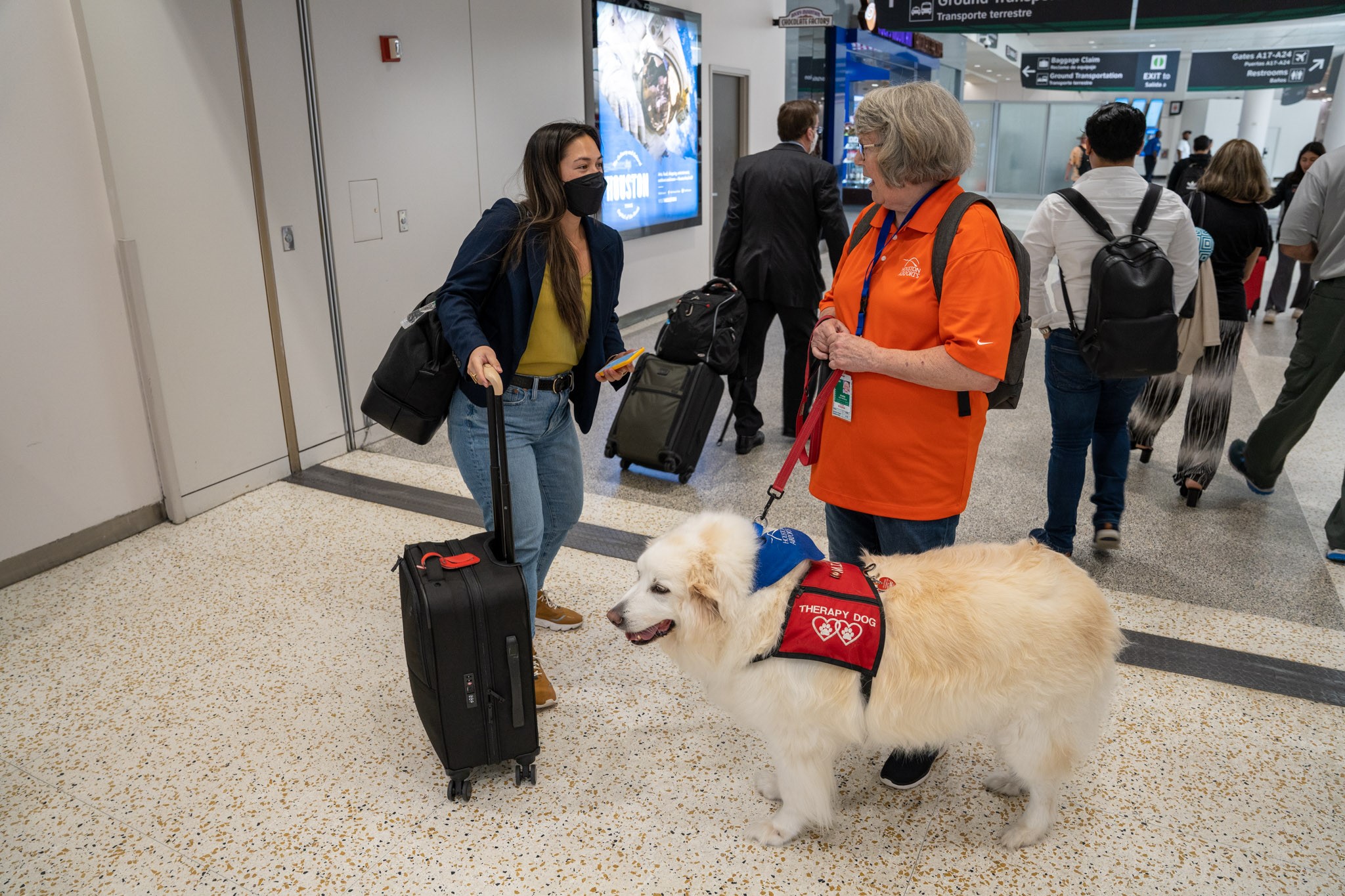 Mia, a therapy dog, visits with a traveler at George Bush Intercontinental Airport
