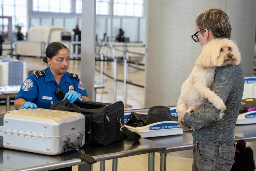 dog at TSA checkpoint
